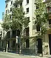Fleurs rue Balmes (brachychyton populneum).