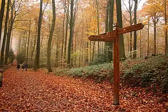 Le GR VA dans le Brakelbos (nl)