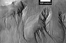 Ravines dans la région de Sirenum Fossae, par 38,9°&nbsp;S et 195,9°&nbsp;E.