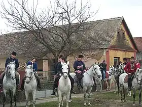 Branjin Vrh