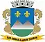Blason de Montes Claros
