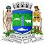 Blason de Delfim Moreira