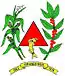 Blason de Piranguinho