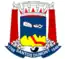 Blason de Santos Dumont