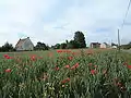 La Bergerie.