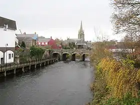 Antrim (Irlande)