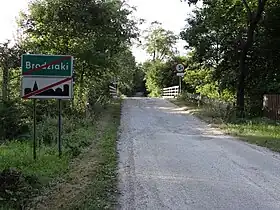 Brodziaki