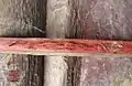 Bois brut de Palo de Sangre (Brosimum rubescens)