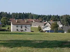 Brzice
