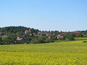 Bukovinka
