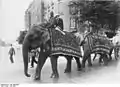 Une parade d’elephants avec ses dresseurs indiens, en 1926.