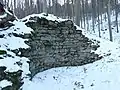Image illustrative de l’article Château fort de Tannenfels