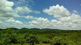 Bushbuckridge