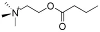 Image illustrative de l’article Butyrylcholine