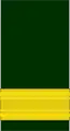 Bande à la manche d'un général de l'Armée canadienne