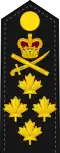 insigne