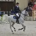 Daniel Deußer et Cornet d'Amour au CHI de Genève de 2013.