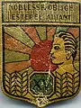 Insigne du CJF 15 (1er&nbsp;modèle).