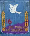 Insigne du CJF 16 (1er&nbsp;modèle).