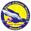 Logo depuis 2013