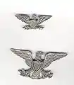 Ces deux insignes de colonel ont un dessin particulier, ce qui était encore possible à l'époque, le plus petit est un insigne de col en argent massif fabriqué par le joaillier Luxenberg.