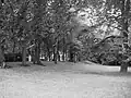 Jardin de la préfecture.