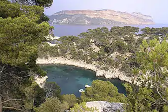 Calanque de Port-Pin. Au fond, les falaises de Cassis.