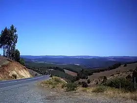 Lumaco