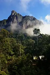 Un camp au coeur de la forêt tropicale humide, avec une falaise abrupte devant lui.