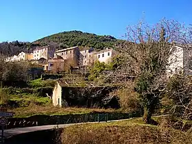 Campile