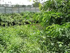 Canal