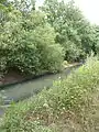 Canal à l'ouest de Dallonville, commune de Bailleau-l'Évêque (2015).