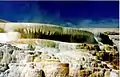 Les Canary Springs en 1995. Notez les formations analogues à celles retrouvées dans les sources des grottes.