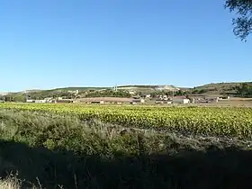 Canillas de Esgueva