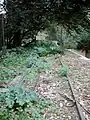 Les rails et câbles de traction.