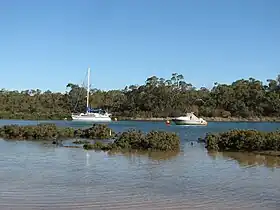 Cannons Creek