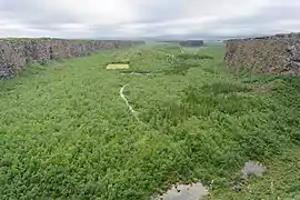 La forêt d'Ásbyrgi (Ásbyrgisskógur) au nord du parc.