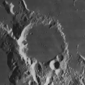 Image illustrative de l'article Capuanus