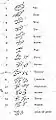 Caractères numériques utilisés par la Princesse Caraboo (en), avec leurs significations.