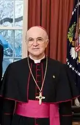 Image illustrative de l’article Carlo Maria Viganò