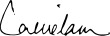 Signature de Carrie Lam