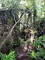 Cascade de la Coulisse, ruines du moulin.