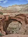 Cassidys Arch.