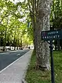 Grands boulevards autour de l'écusson en  centre-ville en "Bleu et Blanc" du CO.