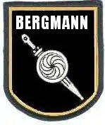 Image illustrative de l’article Sonderverband Bergmann