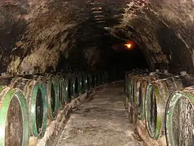 Malá Tŕňa