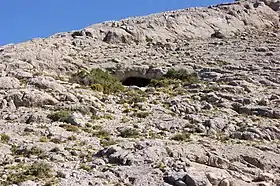 Bardas Blancas