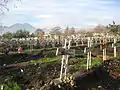 à Santiago (Chili)