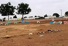 Damerjog