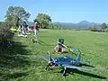 Avions miniature (Cervolix 2010)